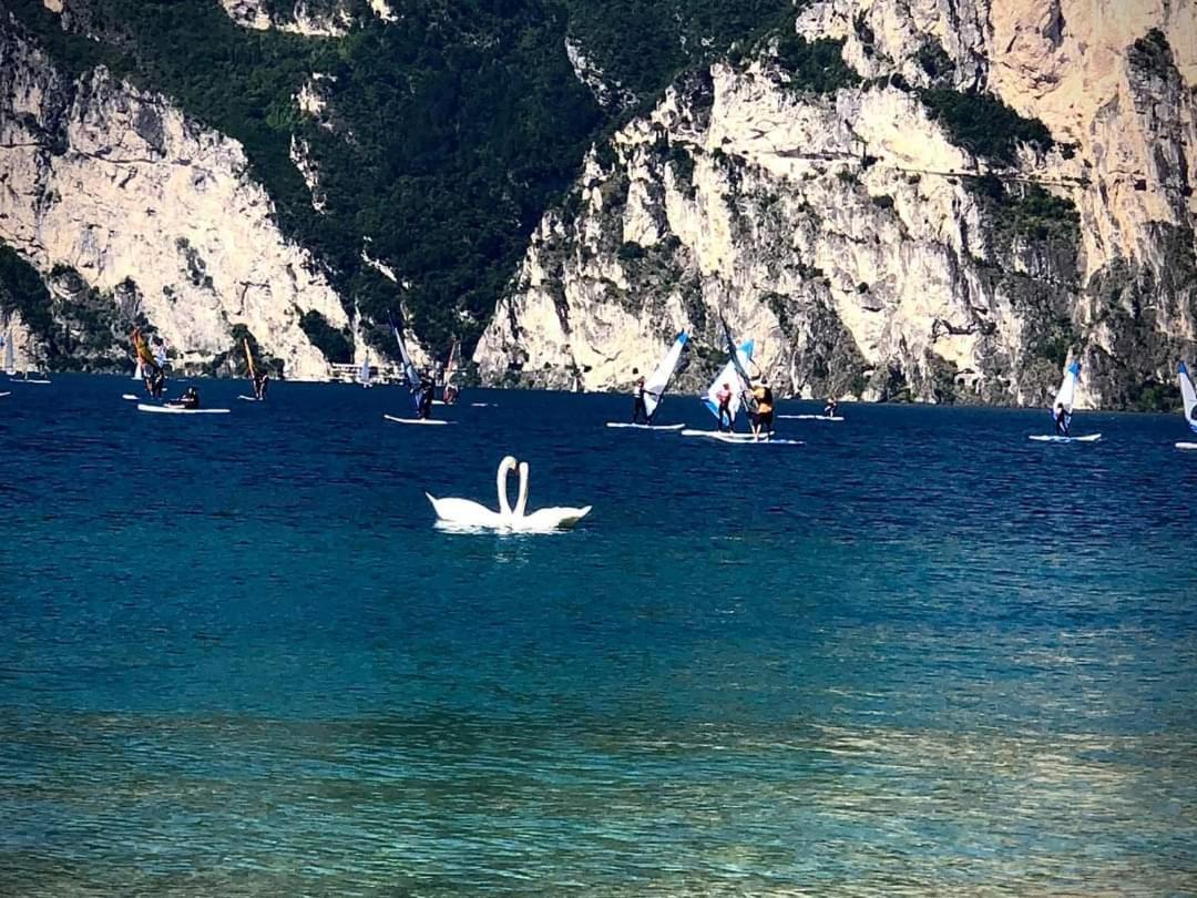 Infinite Blue Daire Riva del Garda Dış mekan fotoğraf